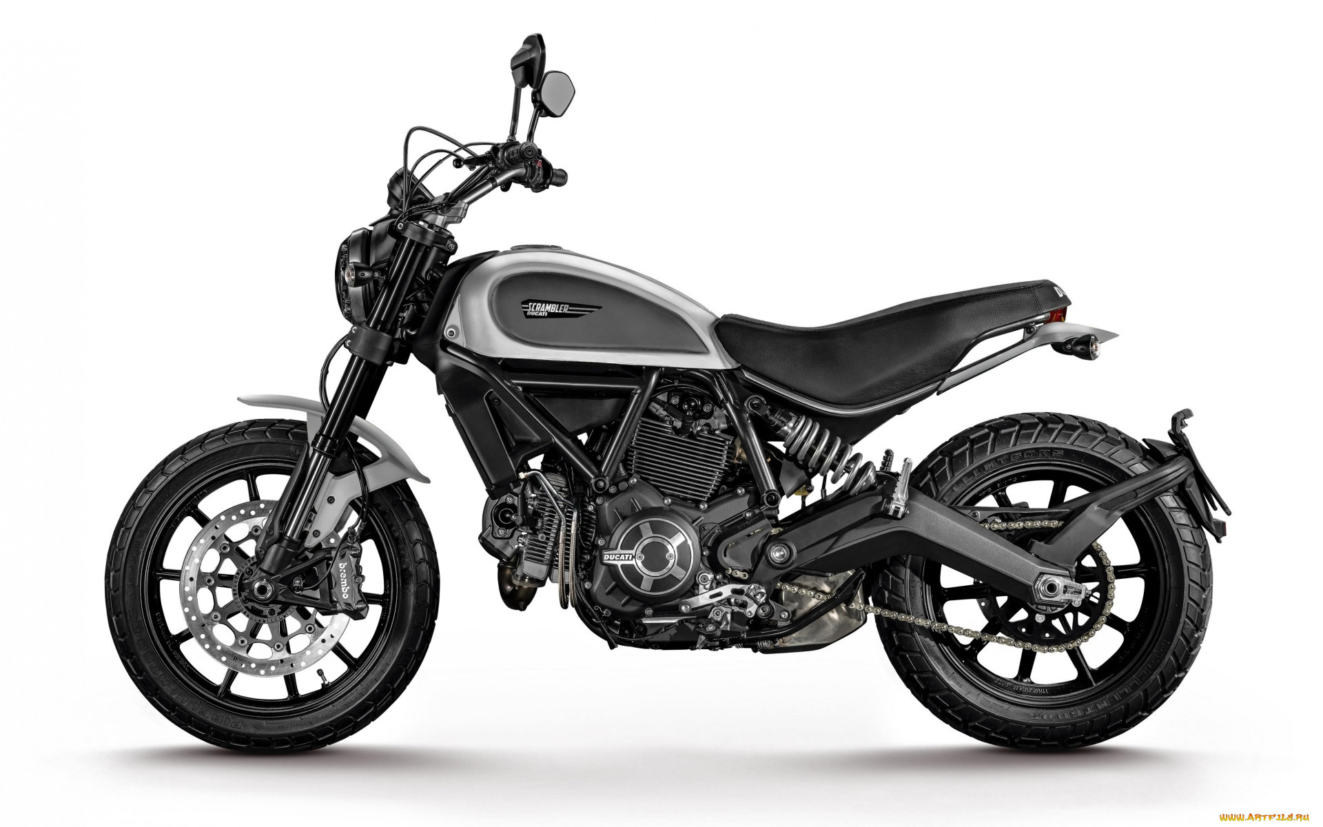 , ducati